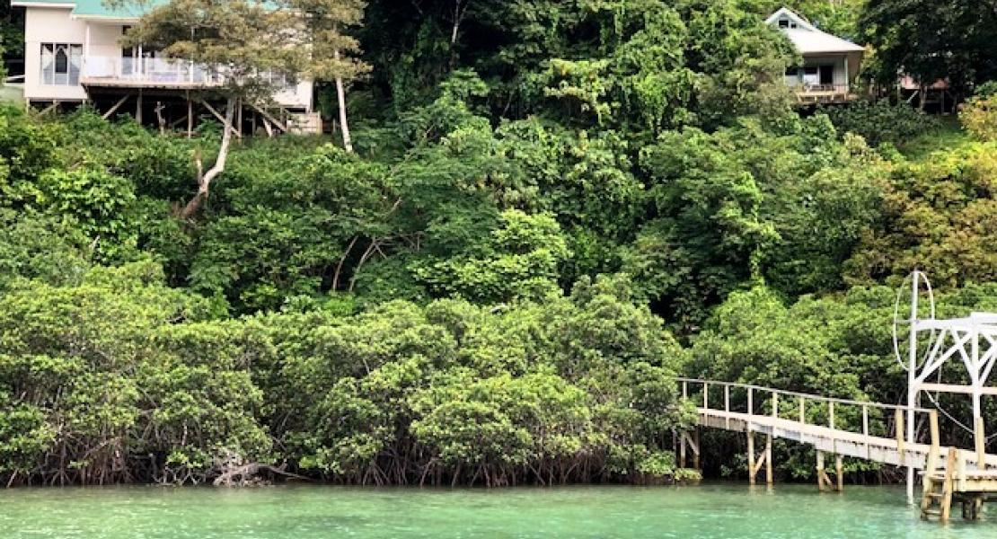 Land Vavau Tonga SouthPacificRealEstate